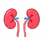 genitourinary-oncology
