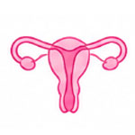gynecologic-oncology