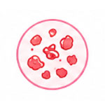 hematologic-oncology